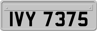 IVY7375