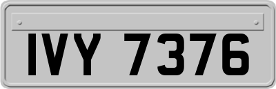 IVY7376