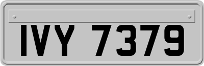 IVY7379