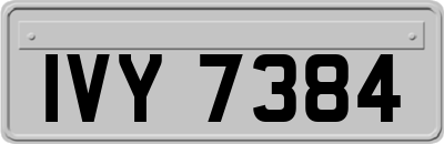 IVY7384