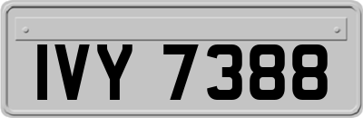 IVY7388