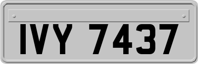 IVY7437