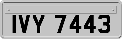 IVY7443