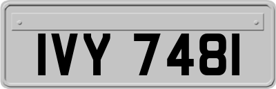 IVY7481