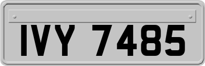 IVY7485