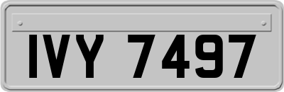 IVY7497