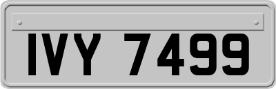 IVY7499