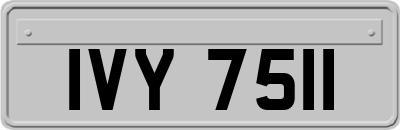 IVY7511