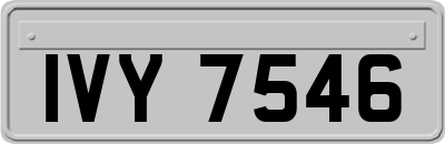 IVY7546
