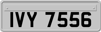IVY7556