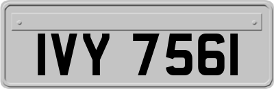 IVY7561