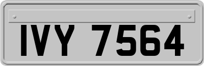 IVY7564
