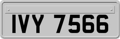IVY7566