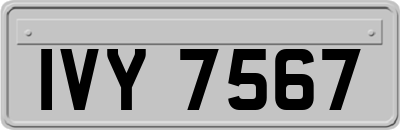 IVY7567
