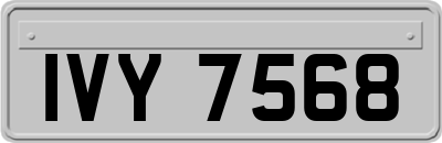 IVY7568