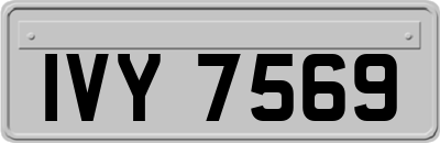 IVY7569