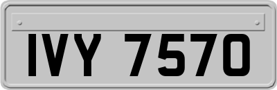 IVY7570