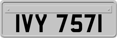 IVY7571