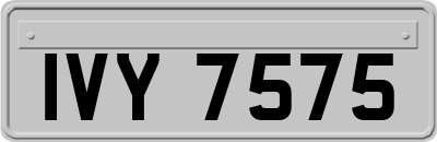 IVY7575