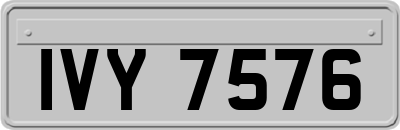 IVY7576