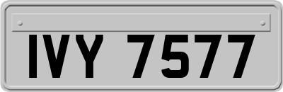 IVY7577
