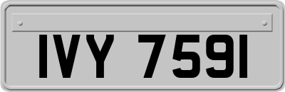 IVY7591