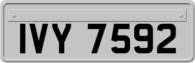 IVY7592