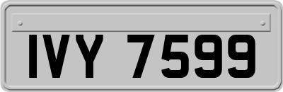 IVY7599