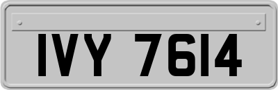 IVY7614