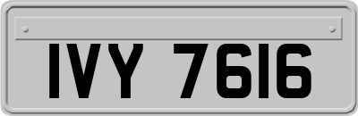 IVY7616
