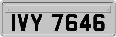 IVY7646