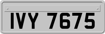 IVY7675