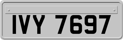 IVY7697