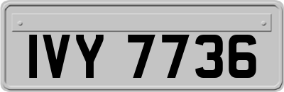 IVY7736