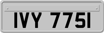 IVY7751