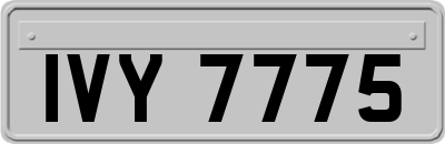 IVY7775