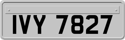 IVY7827