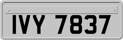 IVY7837