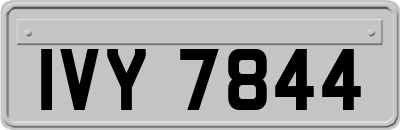 IVY7844