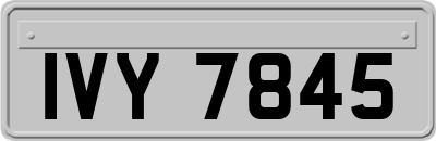 IVY7845