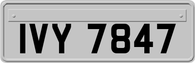 IVY7847