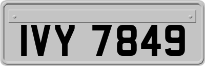 IVY7849