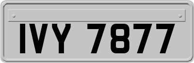IVY7877