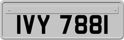 IVY7881