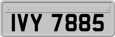 IVY7885