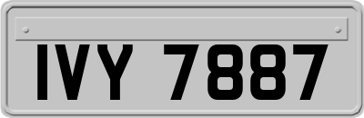 IVY7887