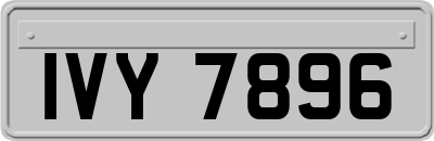 IVY7896