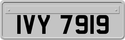 IVY7919