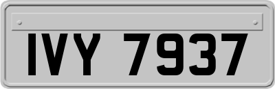 IVY7937