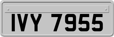 IVY7955